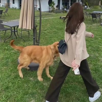 一件幸福的事