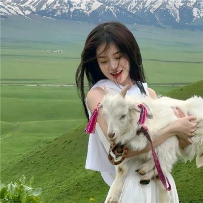 天山的红花